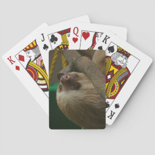 Jeu De Cartes Sloth