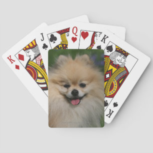 Jeu De Cartes Smiling