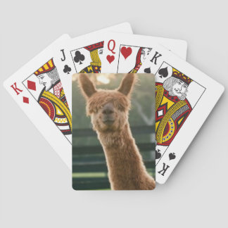 Jeu De Cartes Smiling alpaca playing cards