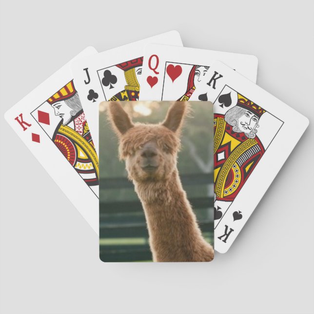 Jeu De Cartes Smiling alpaca playing cards (dos)