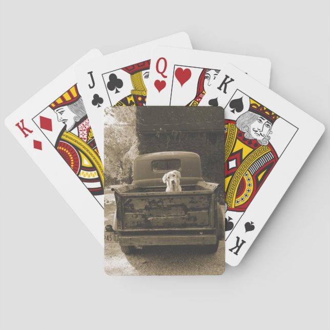 Jeu De Cartes Sortez de Dodge - Photo de chien (dos)