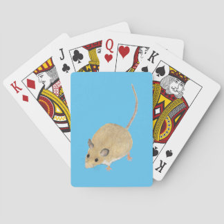 Jeu De Cartes Souris