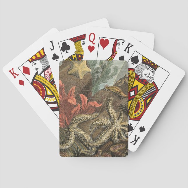 Jeu De Cartes Sous la mer (dos)