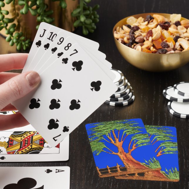 Jeu De Cartes Sous le ciel bleu : La collection d'arbres Acacia (In Situ)