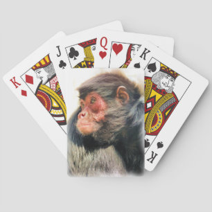 JEU DE CARTES SPIDER MONKEY