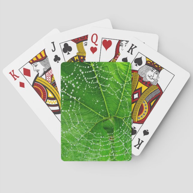 Jeu De Cartes Spider Web Classic Playing Cartes (dos)
