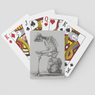 Jeu De Cartes Squelette assis anatomie Illustrisation