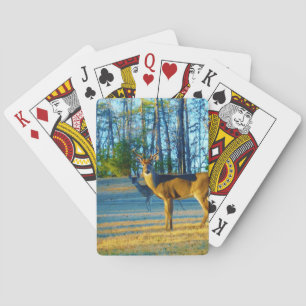 Jeu De Cartes Stade / Buck Deer, Ciel bleu clair