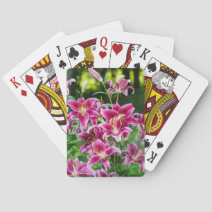 Jeu De Cartes Stargazer Lilies