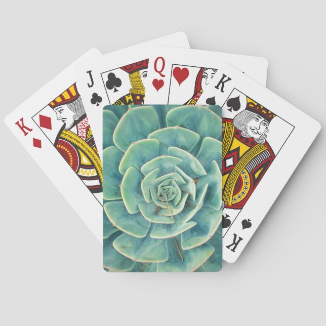 Jeu De Cartes Succulent en gros plan (dos)
