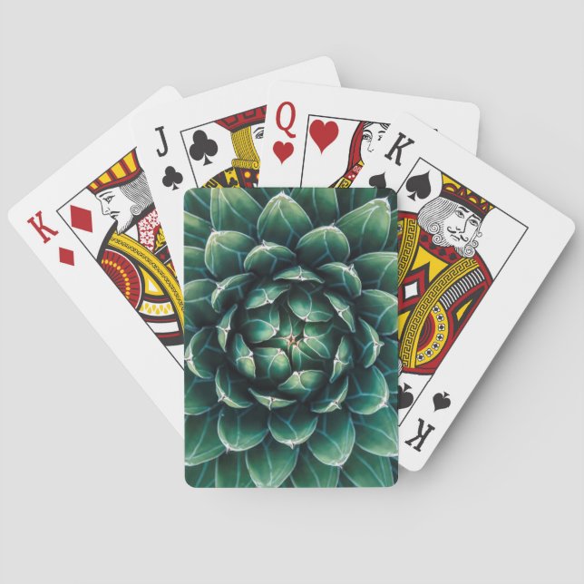 Jeu De Cartes Succulent vert et blanc (dos)