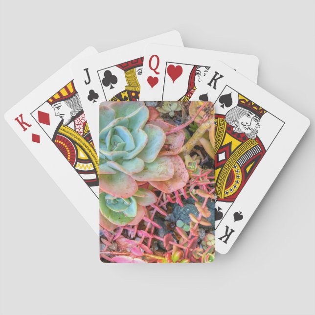 Jeu De Cartes Succulents (dos)