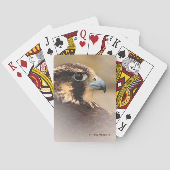 Jeu De Cartes Superbe profil Vigné d'un faucon pèlerin (dos)