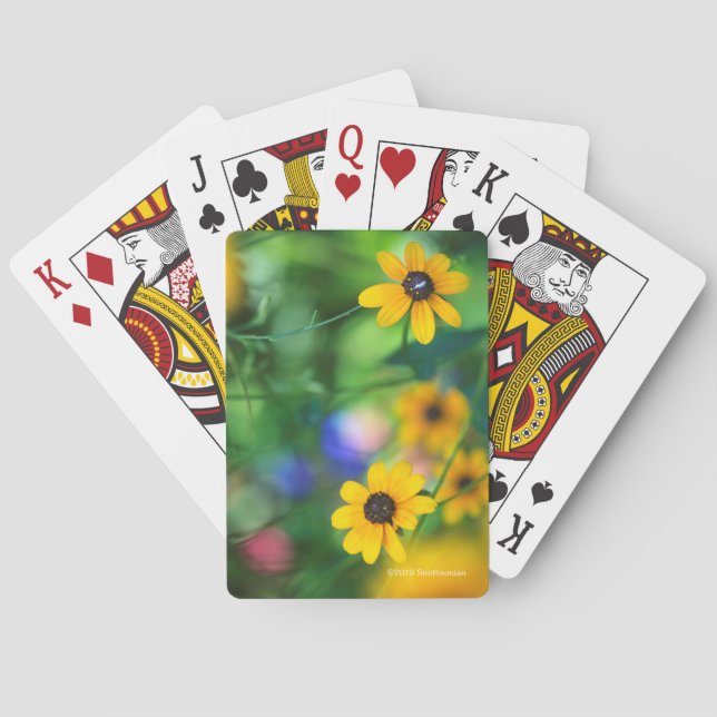 Jeu De Cartes Susan Noir-eyed (dos)
