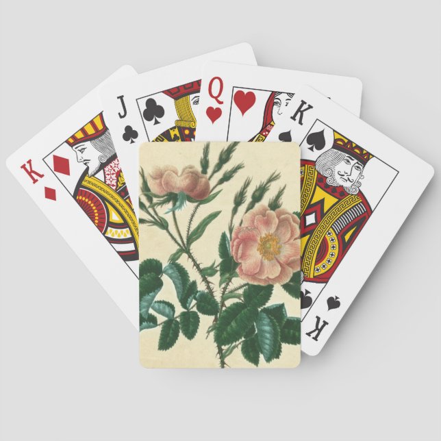 Jeu De Cartes Sweet Briar Rose (dos)