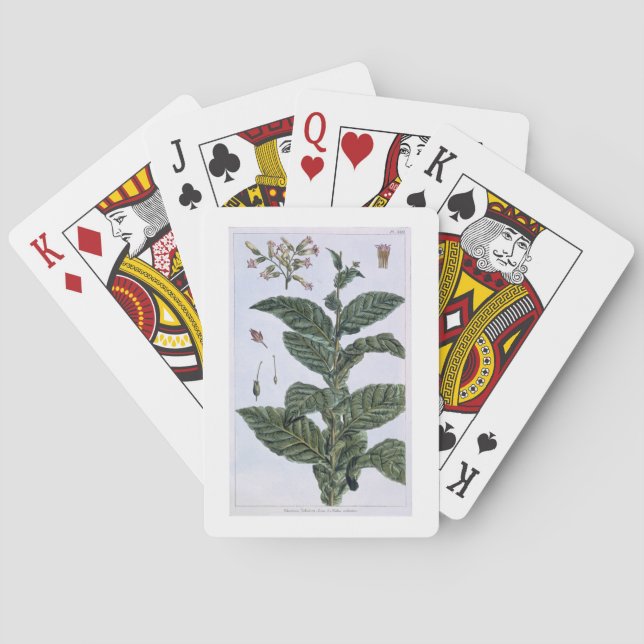 Jeu De Cartes Tabac plante, plaque 7, de 'Collection Precieuse (dos)