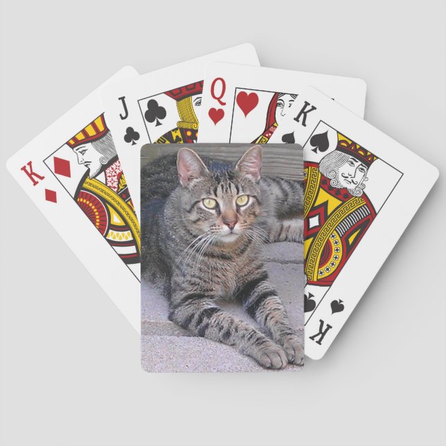 Jeu De Cartes Tabby Chat Brown à l'extérieur (dos)
