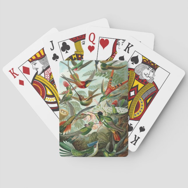 Jeu De Cartes tableau classique de la faune des oiseaux colibris (dos)