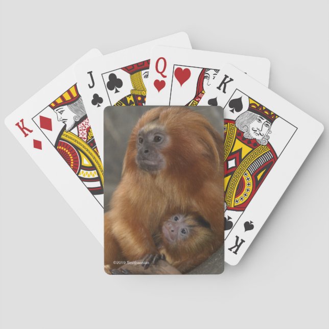 Jeu De Cartes Tamarin d'or de lion avec le bébé 2 (dos)