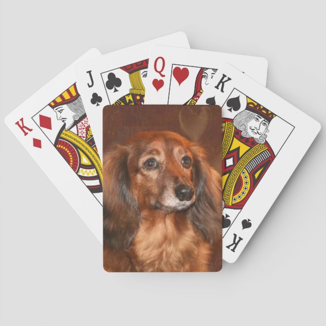 Jeu De Cartes Teckel aux cheveux longs (dos)