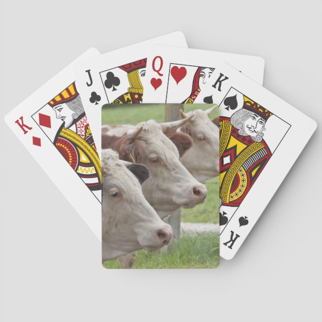 Jeu De Cartes Three Cows in a Row Playing Cards (dos)