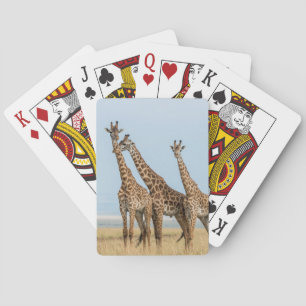 Jeu De Cartes Three Giraffes Posing