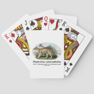 Jeu De Cartes Thylacinus cynocephalus (Tasmanian tiger or wolf)