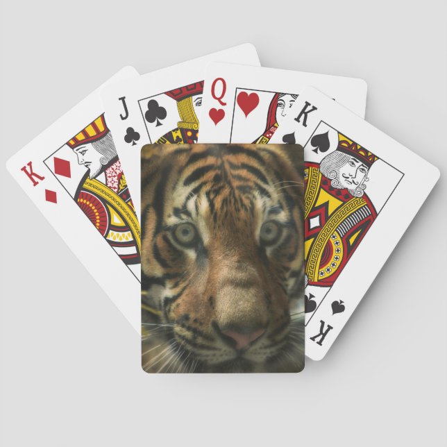 JEU DE CARTES TIGER GROUPE ZÉRO (dos)