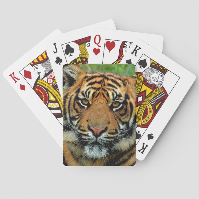 Jeu De Cartes Tigre (dos)
