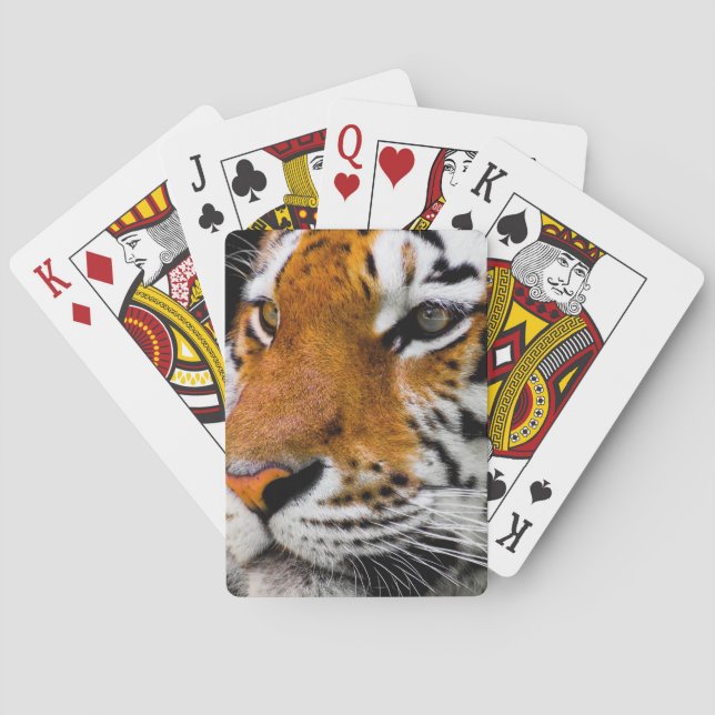 Jeu De Cartes Tigre (dos)