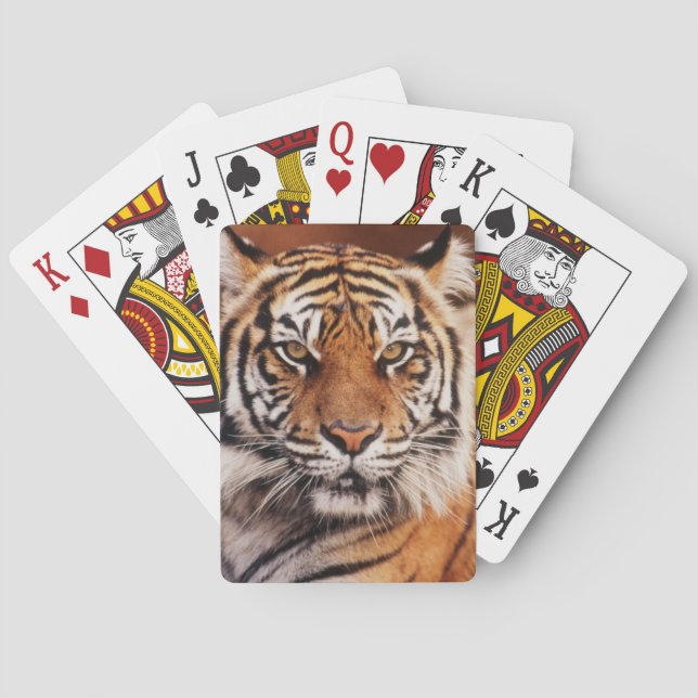 Jeu De Cartes Tigre de Sumatra (dos)