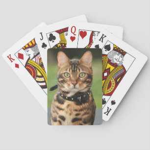 Jeu De Cartes Tigre du Bengale