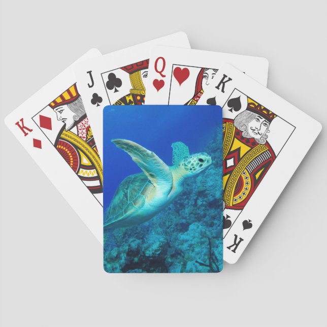 Jeu De Cartes Tortue de mer (dos)