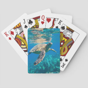 Jeu De Cartes Tortue de mer
