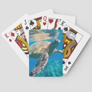 Jeu De Cartes Tortue de mer, tortue marine, chélonioidea, reptil