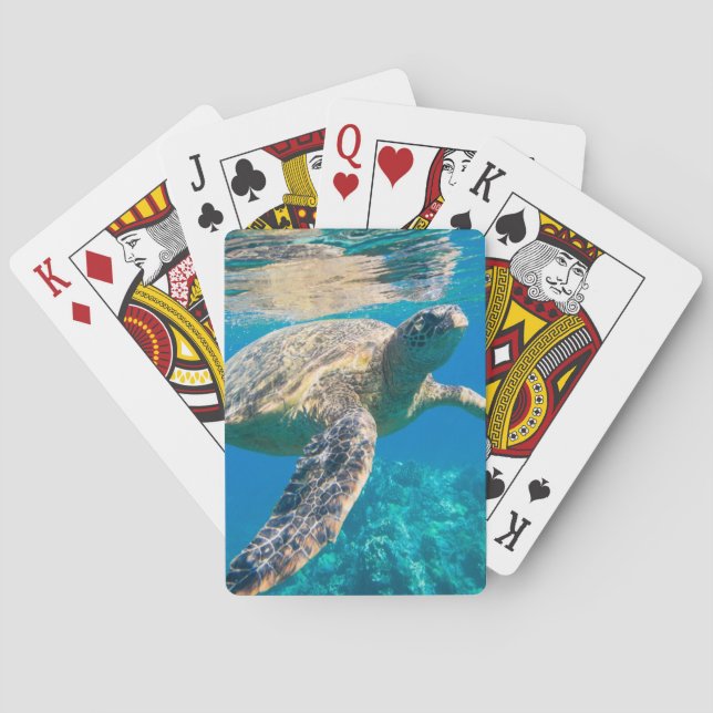 Jeu De Cartes Tortue de mer, tortue marine, chélonioidea, reptil (dos)