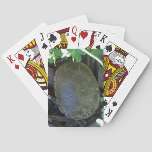 Jeu De Cartes Tortue parmi la verdure