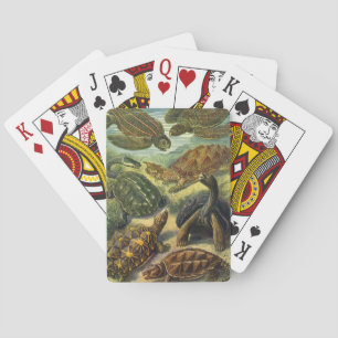 Jeu De Cartes Tortues vintages et tortues de mer par Ernst Haeck
