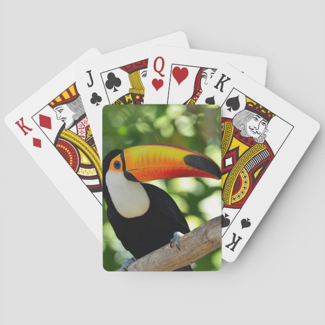 Jeu De Cartes Toucan (dos)