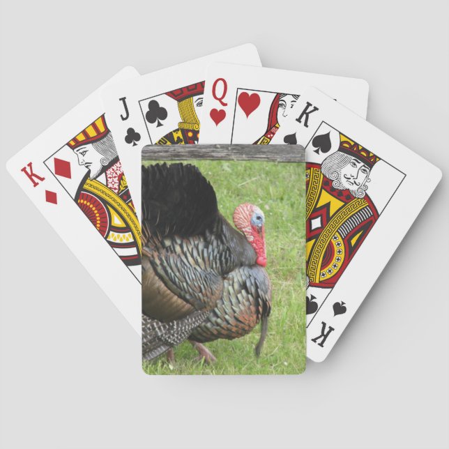 Jeu De Cartes Tourkey (dos)