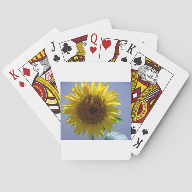 Jeu De Cartes Tournesol jaune (dos)