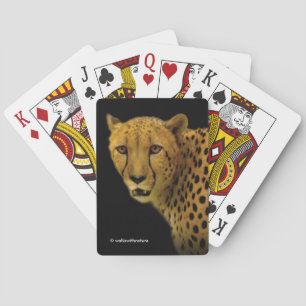 Jeu De Cartes Traces commerciales avec un magnifique guépard