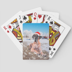Jeu De Cartes Très Beau Chien Danse Assis Dans Le Casquette De N