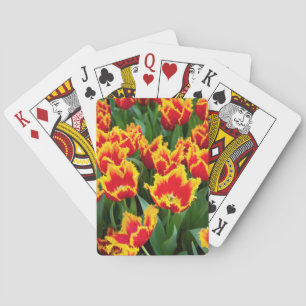Jeu De Cartes Tulipa Fabio, Keukenhof, Pays-Bas