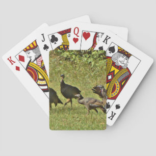 Jeu De Cartes Turquie sauvage, couleurs du Camouflage