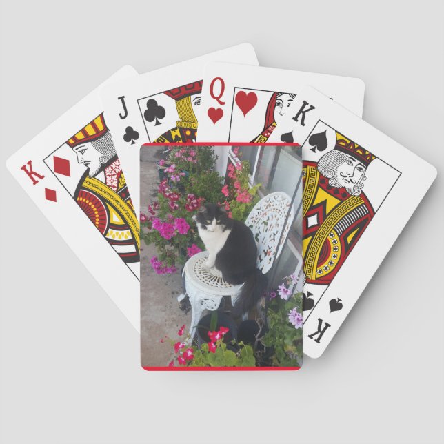 Jeu De Cartes Tuxedo Chat Cute Jolie Fleurs Chats Anniversaire (dos)