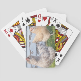 Jeu De Cartes Two Chickens Poker Cards – Cute Farm Animal Play