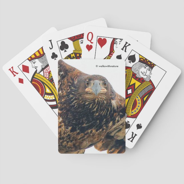 Jeu De Cartes Un aigle à tête blanche étonnant fait un survol (dos)