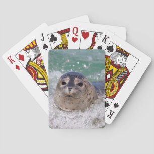 Jeu De Cartes Un bébé phoque surfant