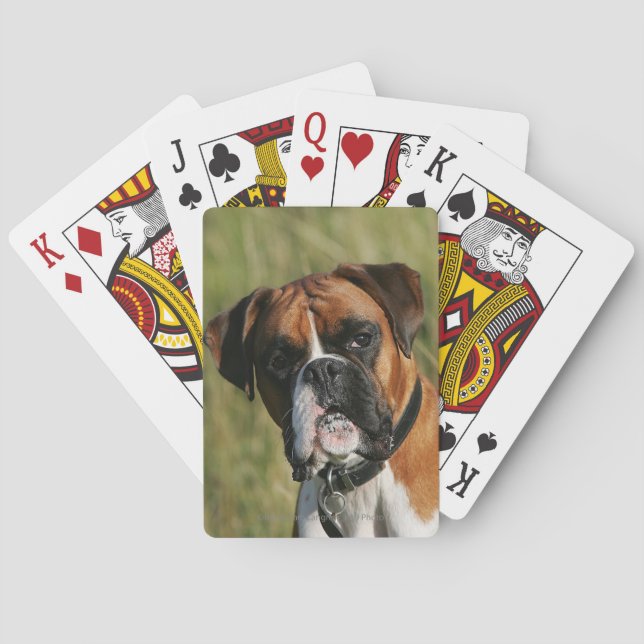 Jeu De Cartes Un chien de boxe qui regarde à la caméra (dos)